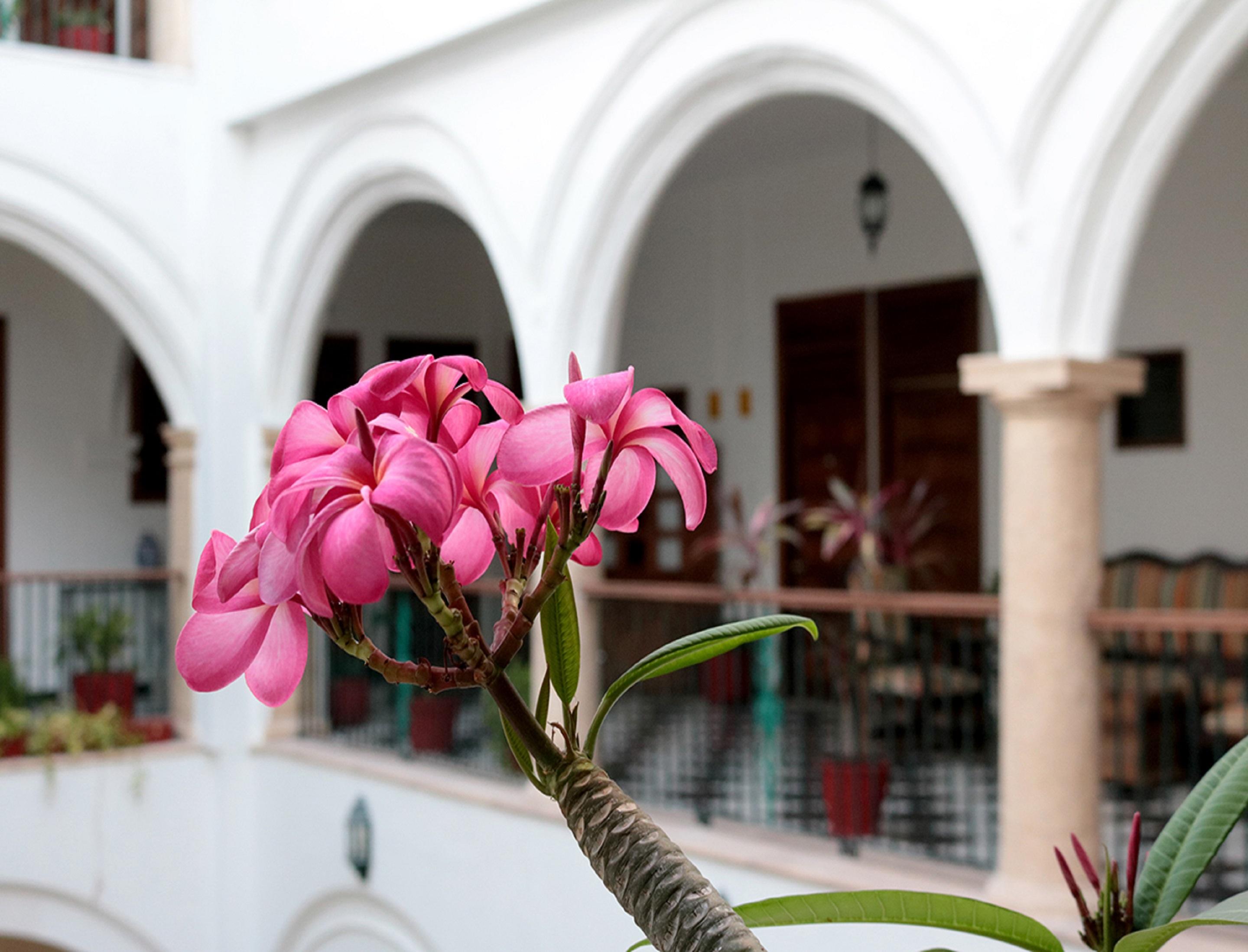 Mision Campeche Exterior foto